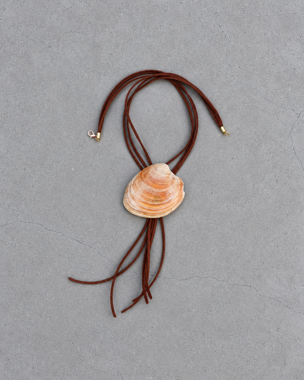 The Marfa Bolo